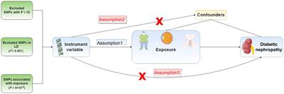 Mendelian randomization analysis reveals causal factors behind diabetic nephropathy: evidence, opportunities, and challenges